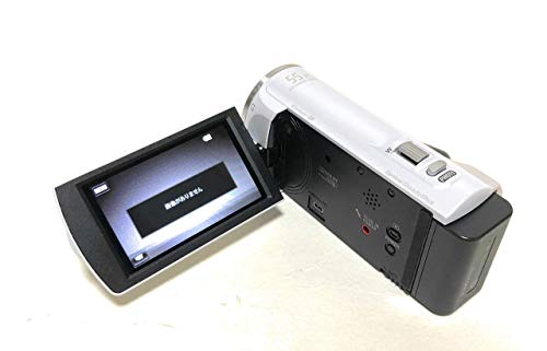 SONY Digital HD Camcorder Recorder HDR-CX390-W Premium White | eBay